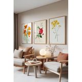 Zestia Ahşap Çerçeveli 3’lü Tablo Seti Botanik Çiçekler – Renkli Eskiz Salon Set 30125, 50 x 70