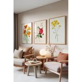 Zestia Ahşap Çerçeveli 3’lü Tablo Seti Botanik Çiçekler – Renkli Eskiz Salon Set 30125, 70 x 100
