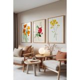 Zestia Ahşap Çerçeveli 3’lü Tablo Seti, Botanik Çiçekler – Renkli Eskiz, Salon Set No: 30125 50 x 70