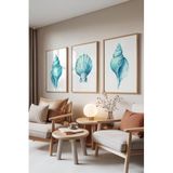 Zestia Ahşap Çerçeveli 3’lü Tablo Seti, Deniz Kabuğu – Turkuaz Tonlar, Salon Set No: 30110 10 x 15