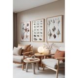 Zestia Ahşap Çerçeveli 3’lü Tablo Seti, Deniz Koleksiyonu – Vintage Çizim, Salon Set No: 30123 15 x 21