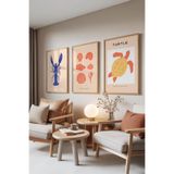 Zestia Ahşap Çerçeveli 3’lü Tablo Seti Istakoz Kaplumbağa ve Deniz Kabuğu Çizimleri Salon Set 30049, 50 x 70