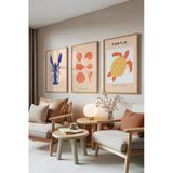Zestia Ahşap Çerçeveli 3’lü Tablo Seti Istakoz Kaplumbağa ve Deniz Kabuğu Çizimleri Salon Set 30049, 70 x 100