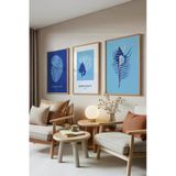 Zestia Ahşap Çerçeveli 3’lü Tablo Seti Okyanus Mavisi Kabuklar ve Mercanlar Salon Set 30051, 21 x 30