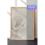 Zestia Ahşap Çerçeveli Duvar Tablosu Beyaz Porselen Çiçek Sakin Minimal Kompozisyon Yatak Odası Dekoru, 30 x 40