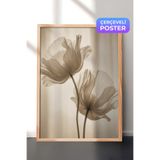 Zestia Ahşap Çerçeveli Duvar Tablosu Şeffaf Gelincik Çiçeği Nötr Ton Minimal Fotoğraf Salon Dekoru, 30 x 40