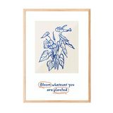 Zestia Ahşap Çerçeveli Tablo Mavi Çizim Çiçekler – Minimal Çizgi Sanatı Ofis Dekoru Poster 100911, 21 x 30