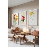 Zestia Beyaz Çerçeveli 3’lü Tablo Seti Botanik Çiçekler – Renkli Eskiz Salon Set 30125, 10 x 15