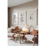 Zestia Beyaz Çerçeveli 3’lü Tablo Seti Çiçek Eskizi – Kuş Detaylı Salon Set 30119, 15 x 21