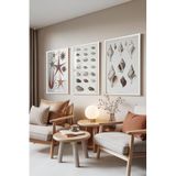 Zestia Beyaz Çerçeveli 3’lü Tablo Seti, Deniz Koleksiyonu – Vintage Çizim, Salon Set No: 30123 21 x 30