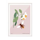 Zestia Beyaz Çerçeveli Tablo Arı ve Çiçek Minimal -Doğanın Uyumu Mutfak Dekoru Poster 100812, 30 x 40