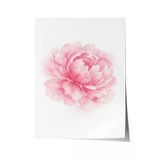 Zestia Poster Pembe Şakayık Rüyası Sulu Boya Çiçek Kompozisyonu Yatak Odası Dekoru, 13 x 18