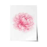 Zestia Poster Pembe Şakayık Rüyası Sulu Boya Çiçek Kompozisyonu Yatak Odası Dekoru, 70 x 100