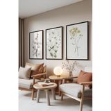 Zestia Siyah Çerçeveli 3’lü Tablo Seti, Botanik Çiçek Çizimi – Soft Renkler, Salon Set No: 30124 10 x 15