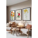 Zestia Siyah Çerçeveli 3’lü Tablo Seti Botanik Çiçekler – Renkli Eskiz Salon Set 30125, 21 x 30