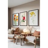 Zestia Siyah Çerçeveli 3’lü Tablo Seti Botanik Çiçekler – Renkli Eskiz Salon Set 30125, 50 x 70