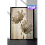 Zestia Siyah Çerçeveli Duvar Tablosu Şeffaf Gelincik Çiçeği Nötr Ton Minimal Fotoğraf Salon Dekoru, 10 x 15