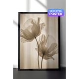 Zestia Siyah Çerçeveli Duvar Tablosu Şeffaf Gelincik Çiçeği Nötr Ton Minimal Fotoğraf Salon Dekoru, 13 x 18