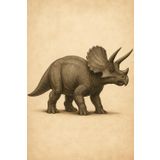 Zeszyt w kratkę 5x5 mm – Triceratops – 100 stron – 6x9 cali: Realistyczna okładka bez napisów – idealny zeszyt dla miłośników dinozaurów, dzieci, uczniów i studentów