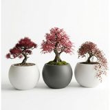 Zevli Japandi Tarzı Modern Küre Saksı 3'lü Set - Su Sızdırmaz Dekoratif Salon ve Balkon Saks� - Genel - Çok Renkli