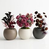 ZEVLİ Japandi Tarzı Modern Küre Saksı 3'lü Set - Su Sızdırmaz Dekoratif Salon ve Balkon Saksısı Hediyelik Çiçeklik Seti (Beyaz, Antrasit ve Mocha, Orta Boy)