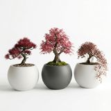 ZEVLİ Japandi Tarzı Modern Küre Saksı 3'lü Set - Su Sızdırmaz Dekoratif Salon ve Balkon Saksısı Hediyelik Çiçeklik Seti (Beyaz ve Koyu gri, Orta Boy)