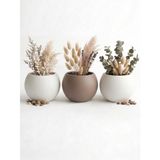 ZEVLİ Japandi Tarzı Modern Küre Saksı 3'lü Set - Su Sızdırmaz Dekoratif Salon ve Balkon Saksısı Hediyelik Çiçeklik Seti (Beyaz ve Mocha, Orta Boy)