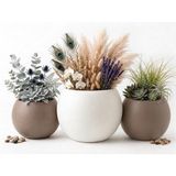 ZEVLİ Japandi Tarzı Modern Küre Saksı 3'lü Set - Su Sızdırmaz Dekoratif Salon ve Balkon Saksısı Hediyelik Çiçeklik Seti (Mermer Beyazı ve Mocha, 1 Büyük 2 Orta)