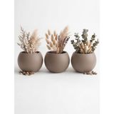 ZEVLİ Japandi Tarzı Modern Küre Saksı 3'lü Set - Su Sızdırmaz Dekoratif Salon ve Balkon Saksısı Hediyelik Çiçeklik Seti (Mocha, Orta Boy)