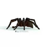 Zeycanhome 13987 Schleich - Aragog - Harry Potter Serisi +3 Yaş Kız Erkek Çocuk Oyuncak Eğitici Oyuncaklar