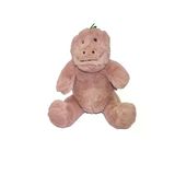 Zeycanhome 5603 30Cm Dinozor Kız Erkek Çocuk Oyuncak Eğitici Oyuncaklar