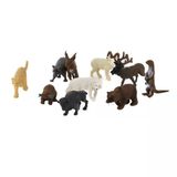 Zeycanhome Az3-012 Pvc Küçük Vahşi Hayvanlar 10Lu Kız Erkek Çocuk Oyuncak Eğitici Oyuncaklar