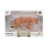 Zeycanhome Kutulu Model Figür Hayvan Kurt Leopar Kız Erkek Çocuk Oyuncak Eğitici Oyuncaklar