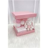 ZEYMERADE Asetat Kutu, Bebe Pembe Orta Boy 25x25Cm, Şeffaf Demonte, Doğum Hediye Baby Bebek Cinsiyet Parti