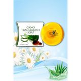Zeynebim Gano Transparent Soap Ganoderma Mantarlı Şeffaf Sabun 100 gr