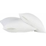 Zeynep Home Iç Yastık Kılıfı Fermuarlı 10 Adet 50 x 70 cm - Beyaz
