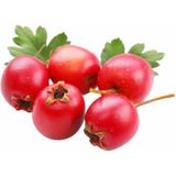 Zeytin Ana Alıç Sirkesi 500 ml