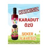 ZEYTİN ANA Karadut Özü 700 gr (Katkısız Ve Şeker ilavesiz Bebek, Çocuk Tüketebilir)
