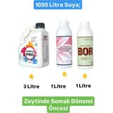 Zeytin Somak Çiçek Öncesi ve Sonbahar Uygulama Zengin Mikro element içeriği Azotlu Fosforlu Sıvı Gübre - 3 Litre+1 Litre+1 Litre