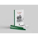 Zeytin ve Zeytinyağının İzmir Hikâyesi - Köstem Zeytinyağı Müzesi
