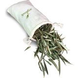 Zeytinseli 80 G Zeytin Yaprağı Çayı | Ferahlatıcı Lezzet ve Doğal İçerik ile Sağlıklı Seçim