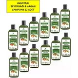 Zeytinyağı & Argan Özlü Şampuan, Saç Dökülmesine Karşı Yardımcı 485 Ml 12 Li Paket