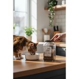 zezedesing Kedi Maması Saklama Kabı Cam 3 Litre