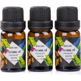 Zg Store 3’lü Esansiyel Uçucu Yağ 3X10ML Westin Kokulu Buhurdanlık Yağı Set, Difüzör, Banyo ve Oda Kokusu