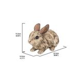 Zg Store Hi-Line Gift Ltd 87650-C Büyük Driftwood Rabbit Heykeli