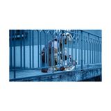 Zg Store Professional 1x Expert Diamond Metal Wheel X-Lock Kesme Diski 125 mm (Dökme Demir, Paslanmaz Çelik, Çelik, Demir Içermeyen Metalle, Ø 125 Mm, Aksesuar Küçük Avuç Taşlama Makinesi)