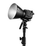 ZHİYUN Zhiyun MOLUS B100 Bi-Color LED Monolight