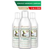 Zigavus Saç Dökülmelerine Karşı Klasik Kokusuz Sarımsaklı Şampuan 250 ml 3 Al 2 Öde