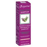 Zigavus Tüm Saç Tipleri İçin Onarıcı Komplex Rosemary Ekstraklı Şampuan 450ml