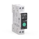 Zigbee 63 Amper Akıllı Sigorta (Tuya, Smart Life, Zigbee2MQTT Uyumlu)